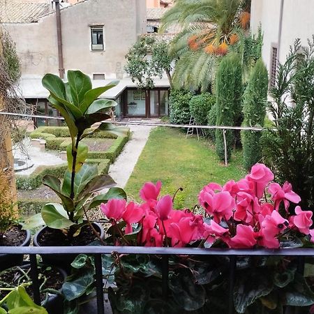 Ottantotto Viterbo B&B 외부 사진
