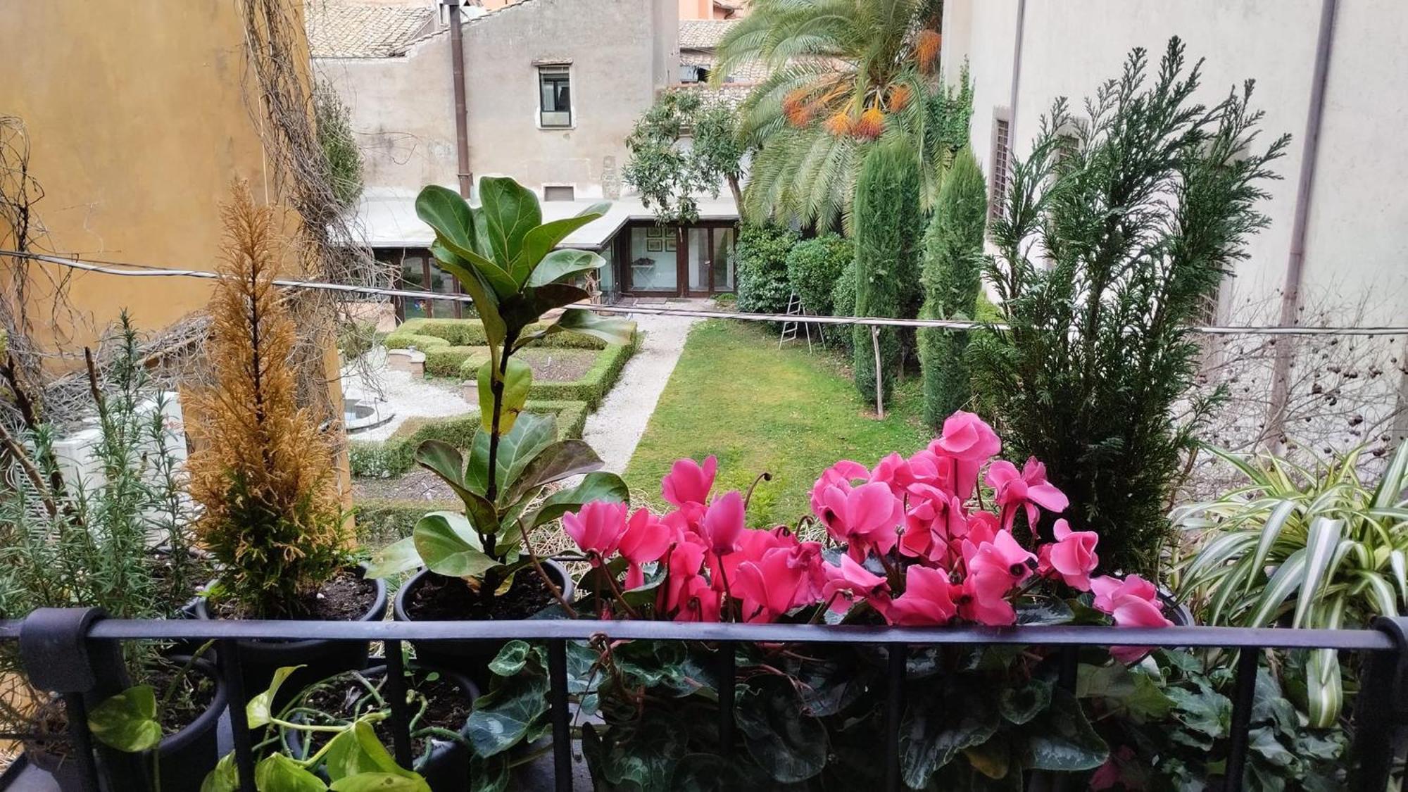 Ottantotto Viterbo B&B 외부 사진